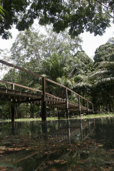 
        
            Município Verde completa meio século de existência
        
    