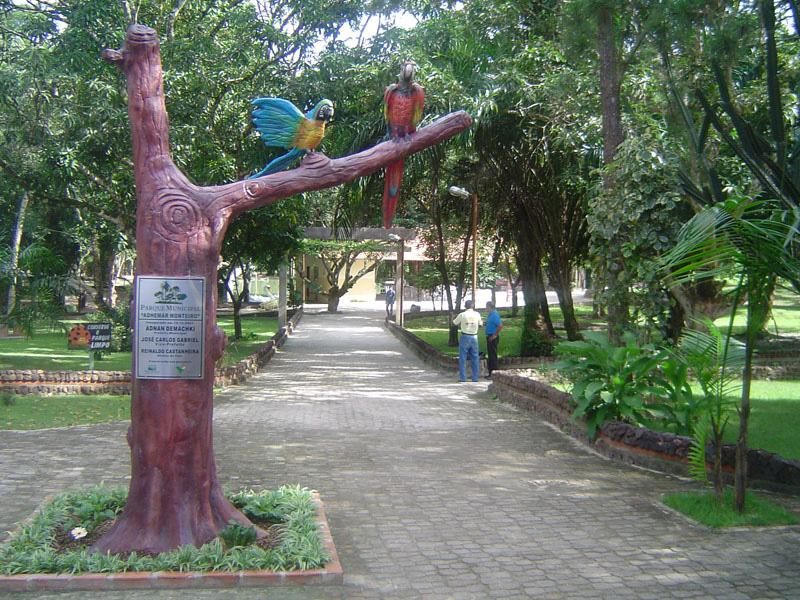 
        
            Município Verde completa meio século de existência
        
    