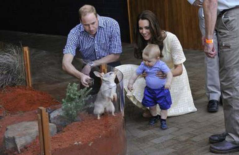 
        
            Relembre momentos fofos do príncipe George
        
    