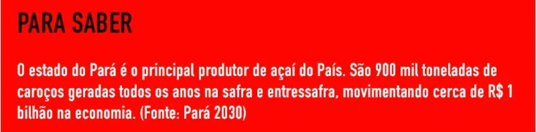 Do concreto à biomassa - O reaproveitamento do caroço do açaí