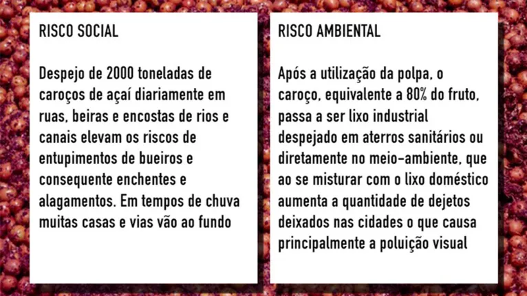 Do concreto à biomassa - O reaproveitamento do caroço do açaí