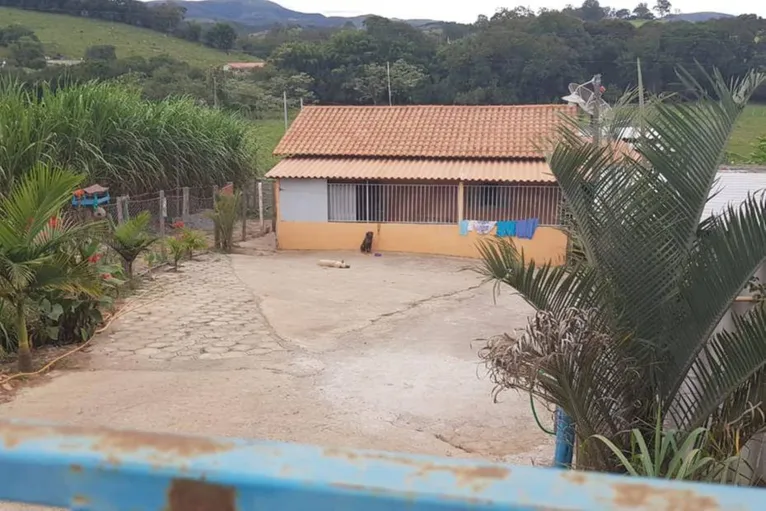 Olhando de longe parece que o cachorro é ral e está preso? Foto: Reprodução

