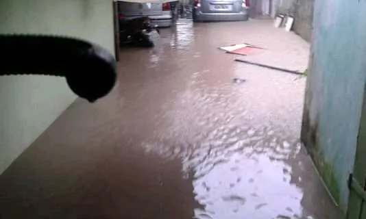 Moradores encontram cobra em rua constantemente alagada em Icoaraci