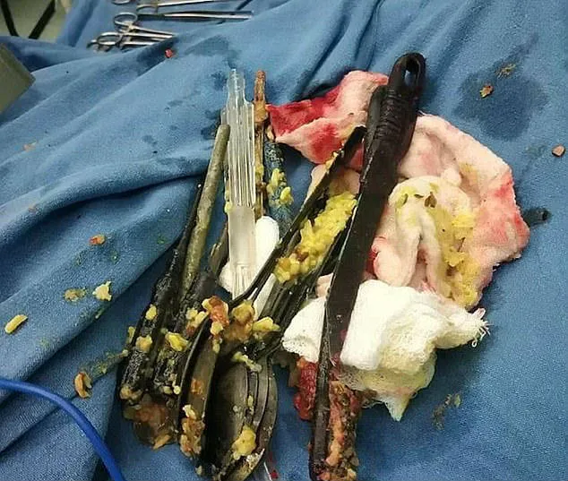 A cirurgia durou três horas ao todo.