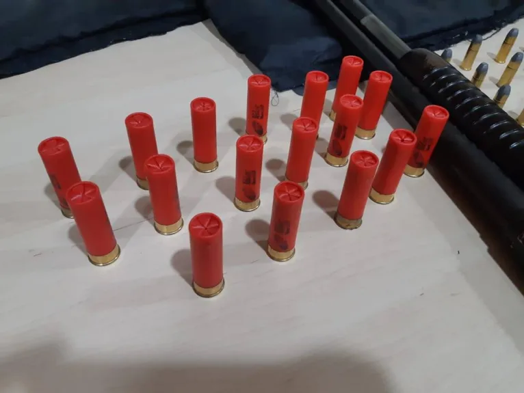 Polícia apreende armas e munições em sítio em Benfica