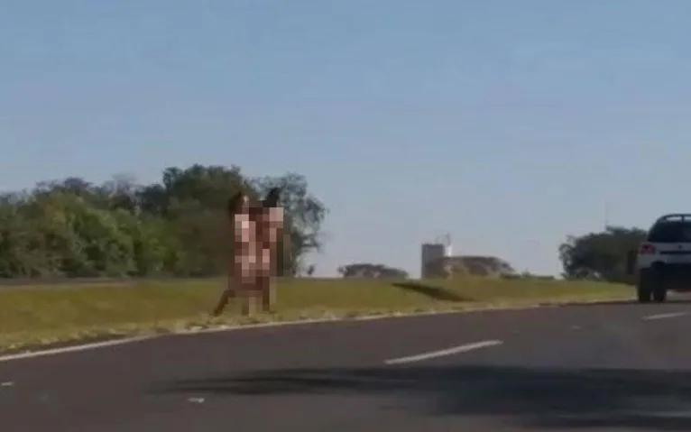 Vídeo: casal é flagrado nu atravessando rodovia em São Paulo
