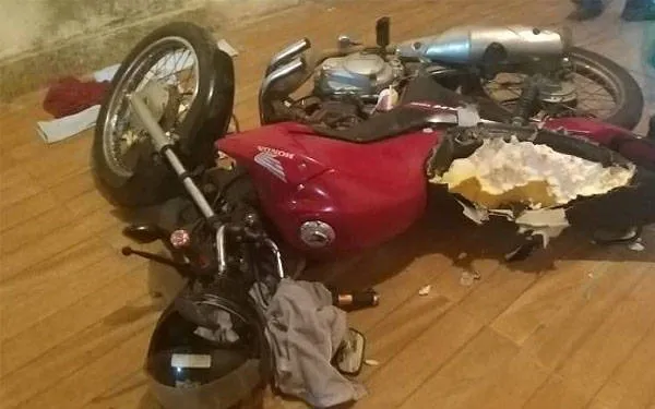 Animal destruiu a dentadas banco de moto.