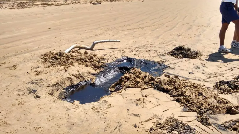 Veja imagens chocantes do óleo nas praias do Nordeste