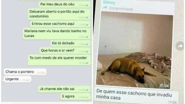 Filhos 'trolam' os pais com filtro de cachorro do Instagram