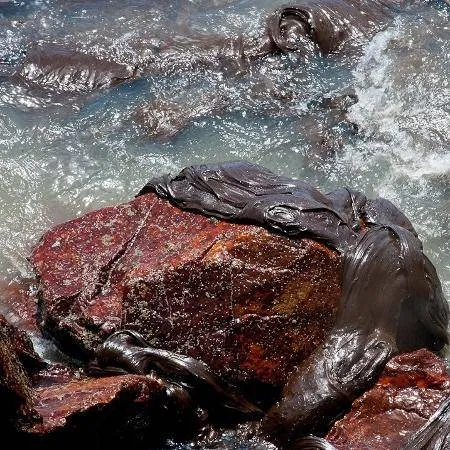 Veja imagens chocantes do óleo nas praias do Nordeste