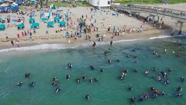 Mergulhadores retiram 1 tonelada e meia de lixo do mar