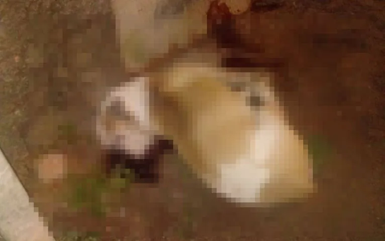 Policial mata cachorro a tiros no bairro da Cabanagem
