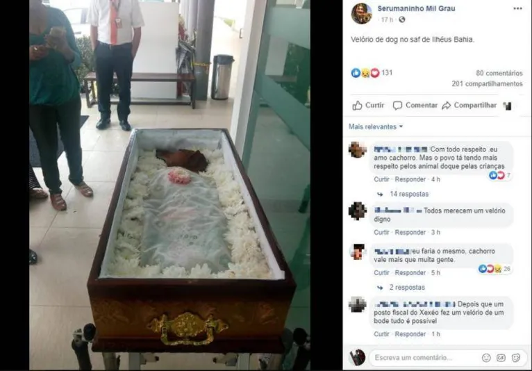 Cachorro de estimação é velado e imagens viralizam na web