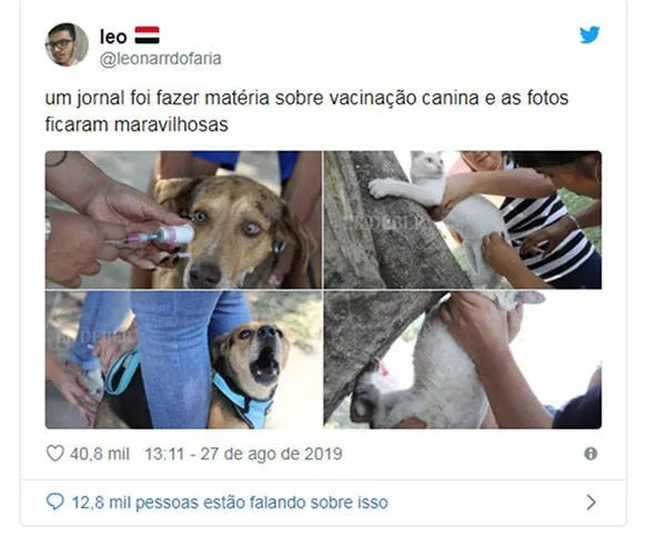 Você não vai pro inferno por rir das fotos de pets tomando vacina