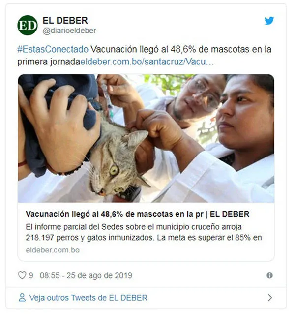 Você não vai pro inferno por rir das fotos de pets tomando vacina