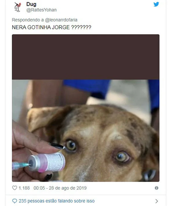 Você não vai pro inferno por rir das fotos de pets tomando vacina