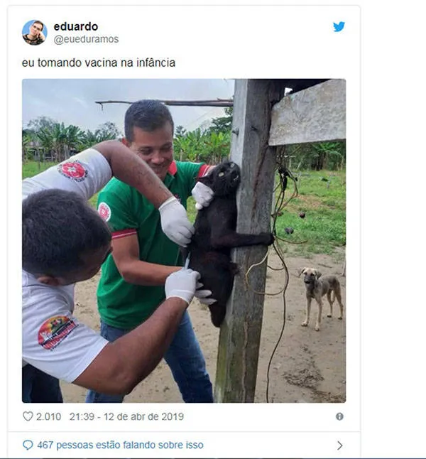 Você não vai pro inferno por rir das fotos de pets tomando vacina