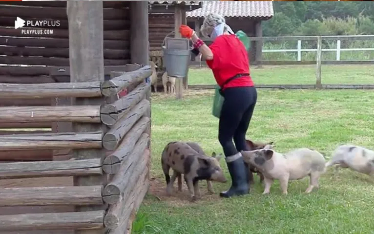 Participante de 'A Fazenda' é atacada por animais e entra em choque