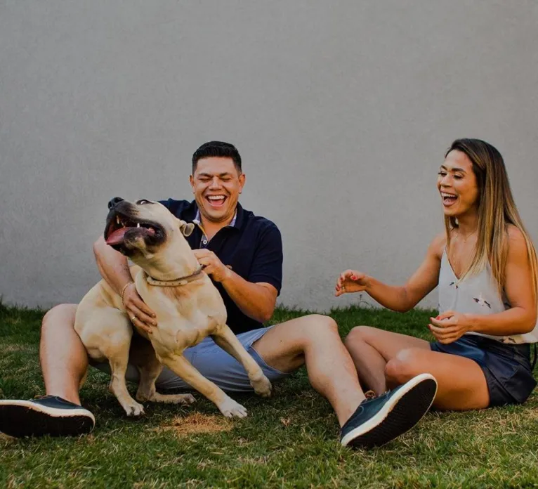 Cão de casal não se comporta durante ensaio fotográfico e resultado é hilário. Veja as fotos!