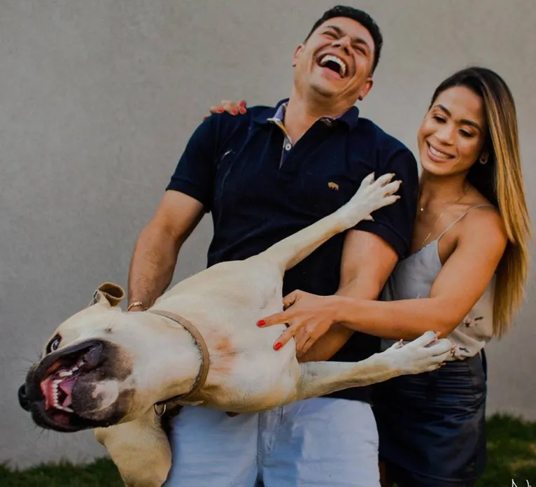 Cão de casal não se comporta durante ensaio fotográfico e resultado é hilário. Veja as fotos!