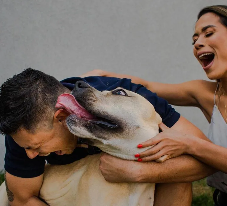 Cão de casal não se comporta durante ensaio fotográfico e resultado é hilário. Veja as fotos!