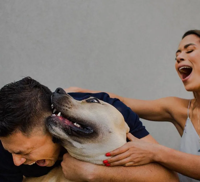 Cão de casal não se comporta durante ensaio fotográfico e resultado é hilário. Veja as fotos!