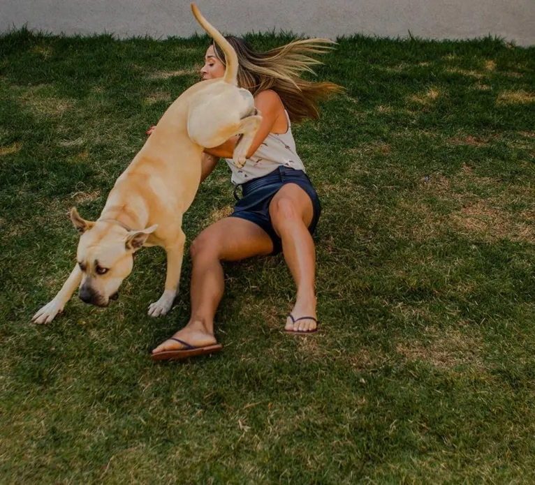 Cão de casal não se comporta durante ensaio fotográfico e resultado é hilário. Veja as fotos!