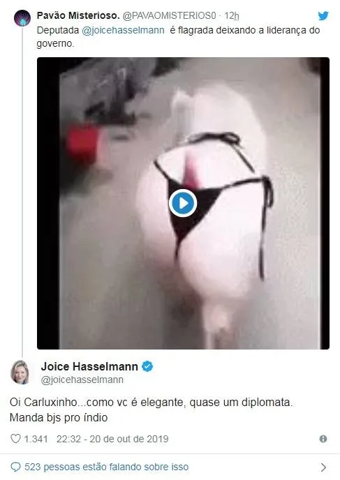 Joice Hasselmann e Carlos Bolsonaro trocam alfinetadas com imagens de 'veado' e 'porca'