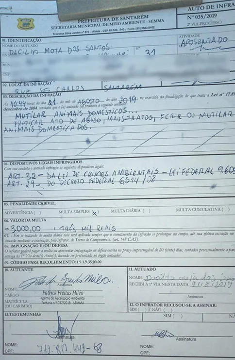 Vizinho castra cachorro ilegalmente e é multado junto com dona do animal 