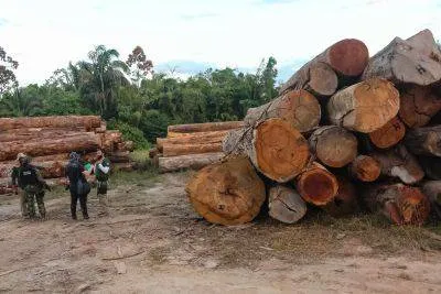 Força-tarefa contra desmatamento apreende madeira e equipamentos em cinco municípios do Pará