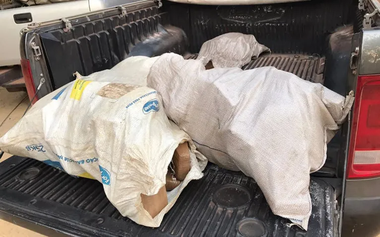 Operação prende duas pessoas e apreende armas e 300 kg de maconha no Pará