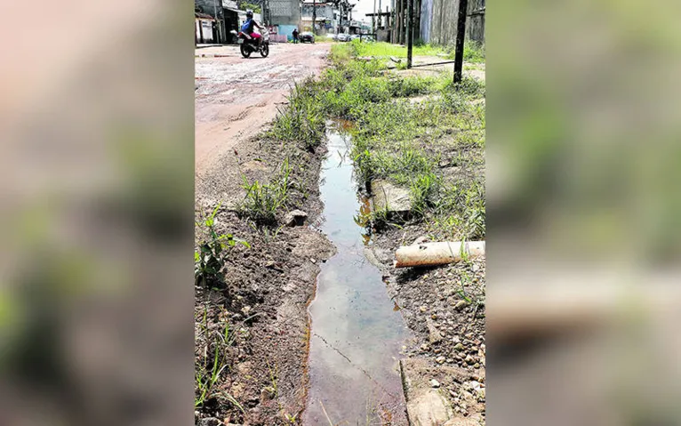 O mato ocupa a vala na lateral da rua. A concentração de água parada põe o povo em risco.