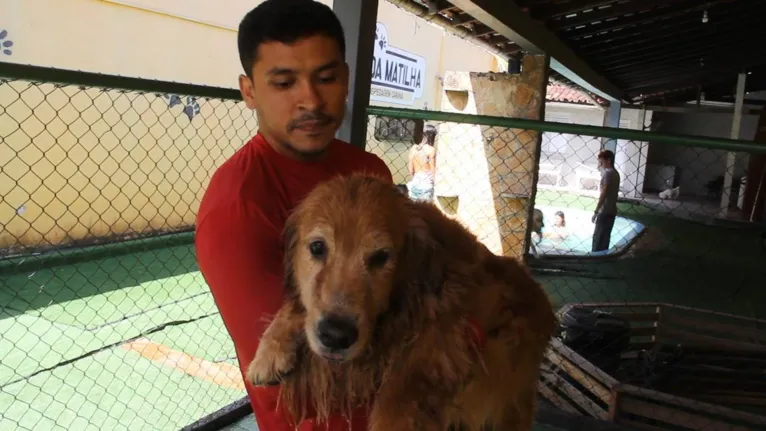 Tadeu é tutor da Lola que adora uma diversão na piscina.
