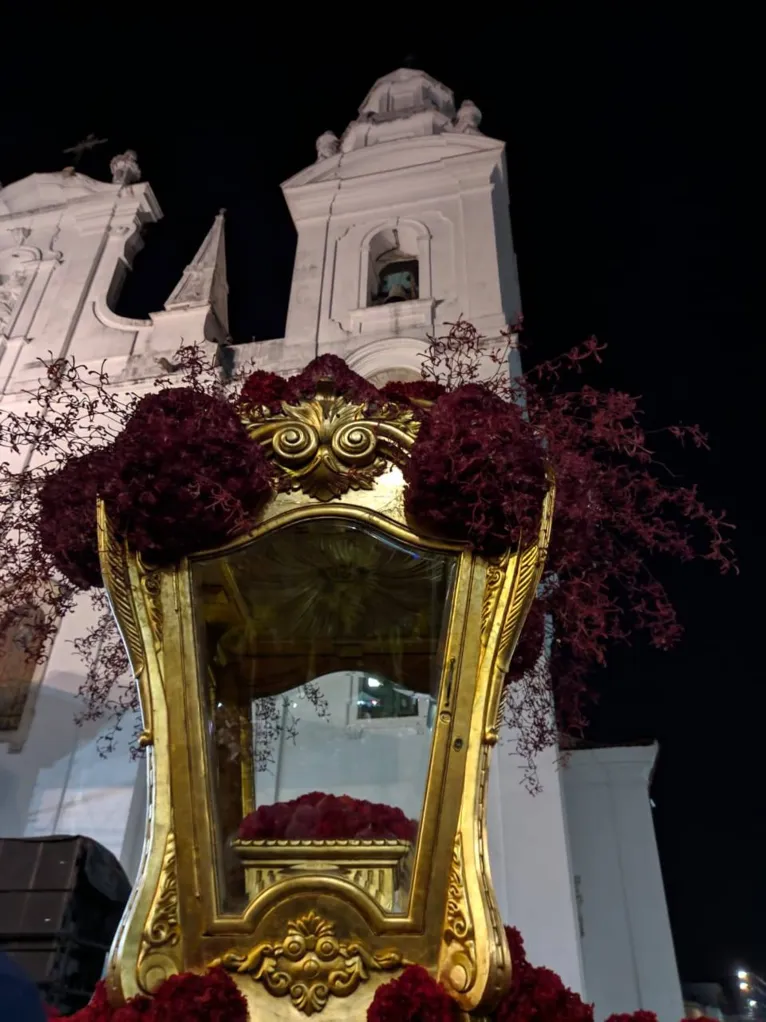 A Berlinda dese ano foi preparada pelo Paulo Morelli. Foram usadas 15 mil flores, a maioria cravos, que vieram de São Paulo. Porém, foram adicionadas hortênsias e orquídeas vermelhas, de produção regional. Toda vermelha, representando o sangue, Cruz e Maria. Mãe, que no sofrimento ao ver o sangue de seu filho derramado na cruz recebe a humanidade inteira como filhos: Jesus, morreu na cruz para salvar a humanidade inteira. 