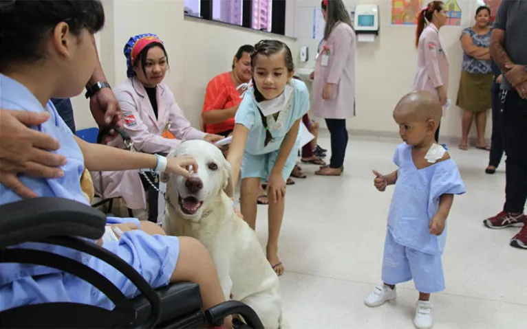 Fofura: crianças em tratamento contra câncer recebem visita de cachorro 