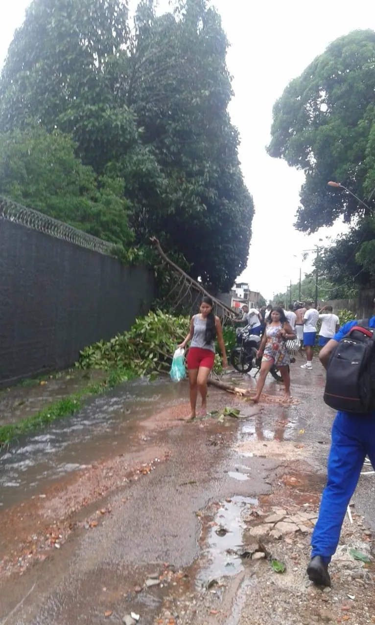 Vendaval destrói casas e prejudica trânsito no bairro da Pratinha
