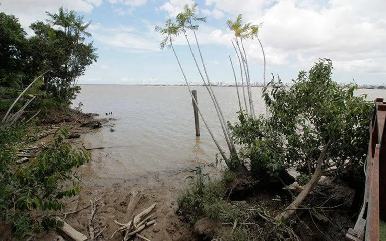 Um olhar que contempla a vegetação, o rio e ao fundo os prédios da capital paraense