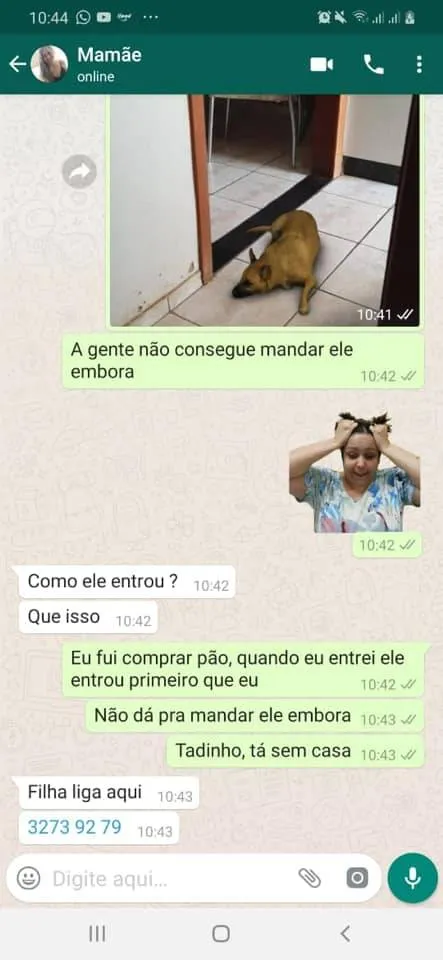 Filhos 'trolam' os pais com filtro de cachorro do Instagram