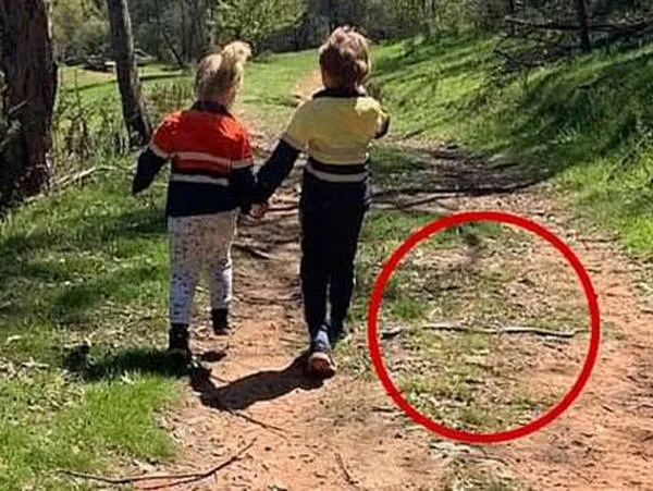 Mãe flagrou uma cobra venenosa bem próxima aos dois filhos. 