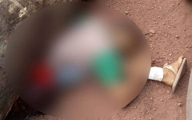 O trabalhador teve morte instantânea em razão do peso do tronco