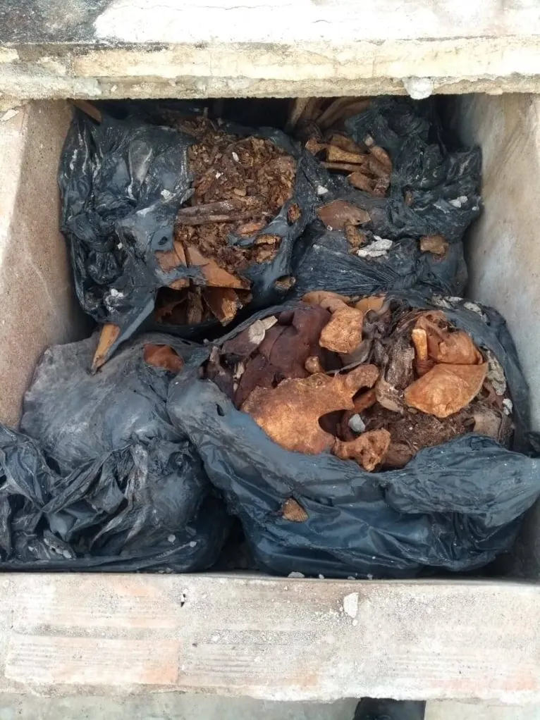 Quadrilha removia cadáveres de cemitério e vendia terrenos