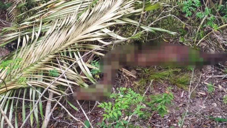 Dois corpos em decomposição são encontrados em Santarém