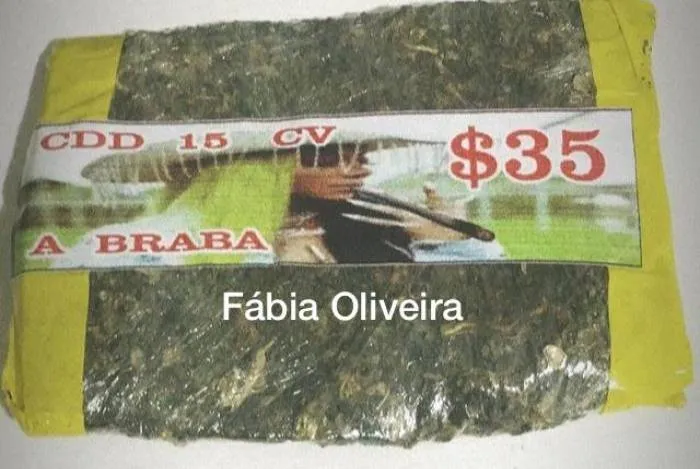 Malote de maconha tem rosto de Ludmilla estampado - Fábia Oliveira
