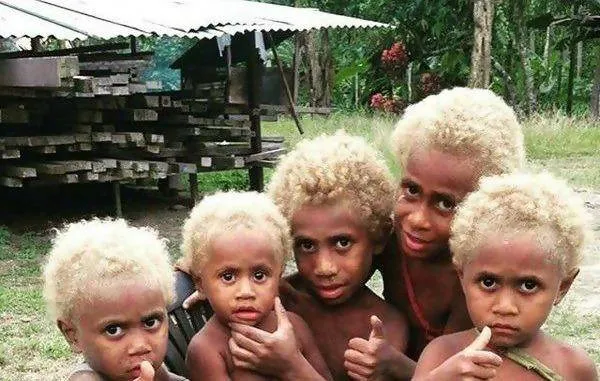 Conheça os melanésios, os únicos negros com cabelos loiros no mundo