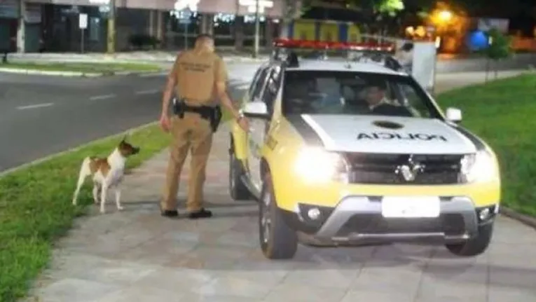 Cão se desespera e chora ao ver dono ser levado pela polícia; veja!