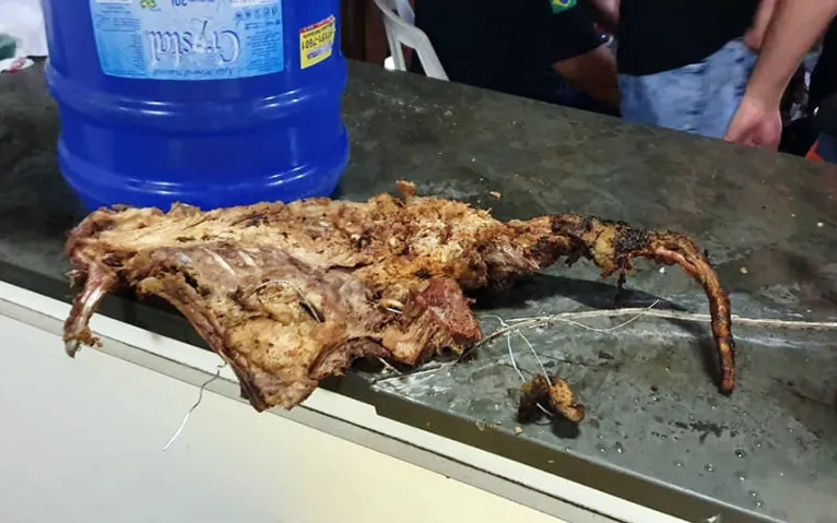 Imagens fortes: polícia descobre rinha e encontra churrasco de cachorro; veja o vídeo!