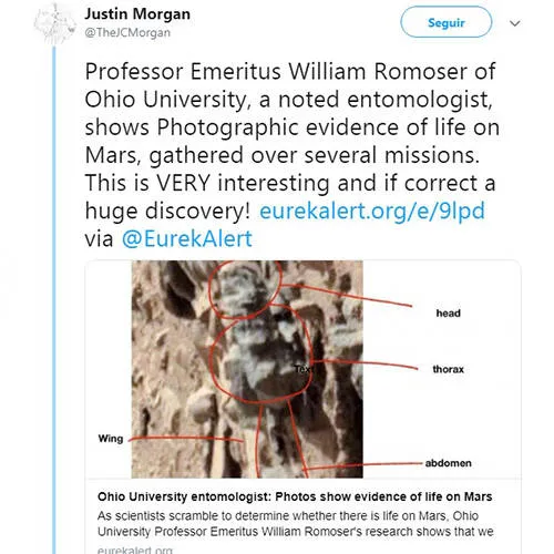  Cientista divulga fotografias de supostos alienígenas em Marte; veja!