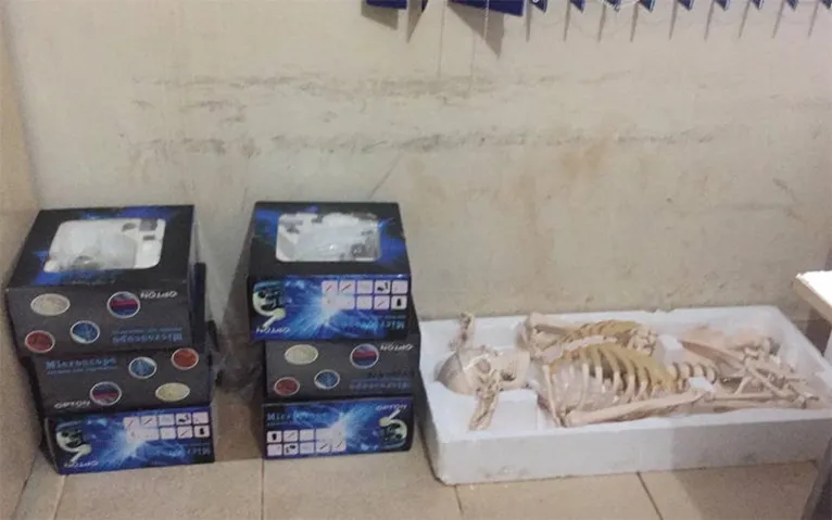 Acusado por tráfico de drogas e participação em facção criminosa é preso no Pará 