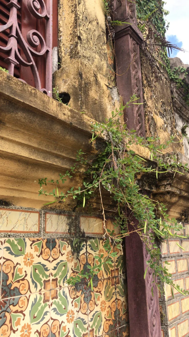 Palacete Pinho: memória de Belém caindo aos pedaços