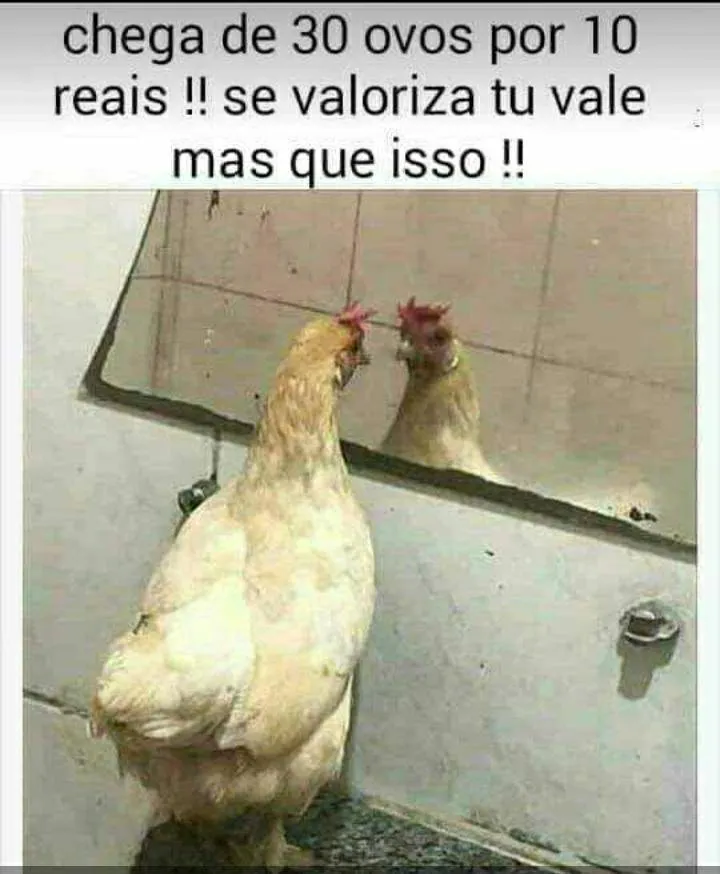 Internautas brincam na internet com o aumento do valor da carne. Veja